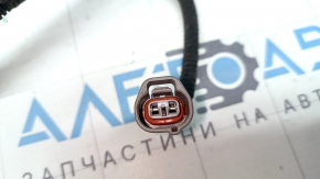 Проводка задней панели правая Lexus RX450h 10-15
