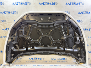 Capota goala Ford Edge 19- aluminiu