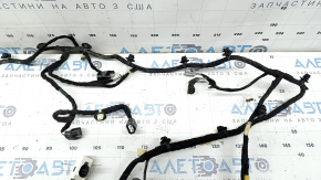Cablaj hayon Ford Bronco Sport 2021-2026