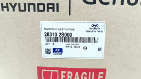 Galerie de admisie Hyundai Santa FE 21-23 2.5