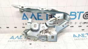 Balama capotă dreapta pentru Audi A5 F5 17-25