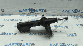 Amortizor față dreapta pentru Mitsubishi Galant 05-12