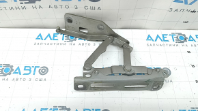 Петля капота правая Mercedes X167 GLS 20-26