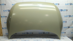 Capota goala Hyundai Ioniq 5 22- aluminiu