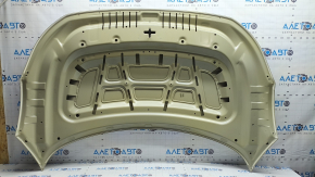Capota goala Hyundai Ioniq 5 22- aluminiu