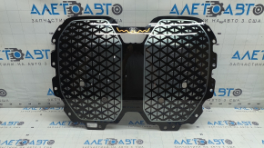 Grilă radiator BMW iX 21-26 argintie, număr Euro
