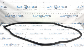 Garnitura portiera dreapta fata Hyundai Ioniq 17-22