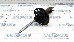 Amortizor față dreapta Toyota Prius 50 Prime 17-18 FWD, ruginit