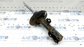Amortizor față dreapta Toyota Prius 50 Prime 17-18 FWD, ruginit