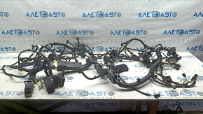 Cablaj compartiment motor Ford Mustang Mach-E 21-26