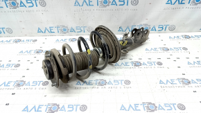 Ansamblu amortizor față dreapta Toyota Camry v50 13-14 usa LE, XLE