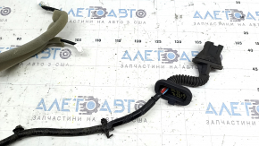 Проводка двери задней правой Nissan Murano z52 15-24