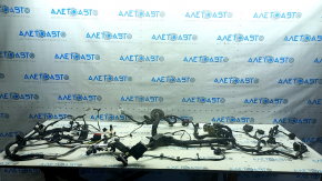 Проводка подкапотная Ford Escape MK4 23-26 1.5 FWD