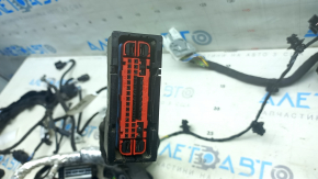 Проводка подкапотная Ford Escape MK4 23-26 1.5 FWD