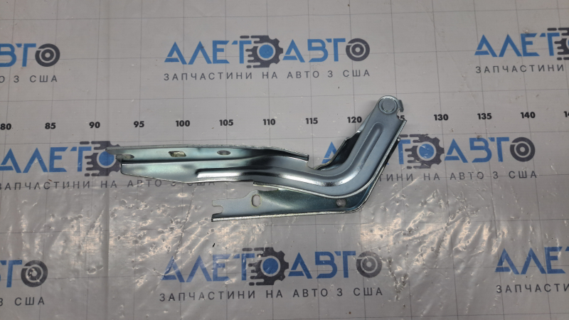 Петля капота правая VW Passat 20-22