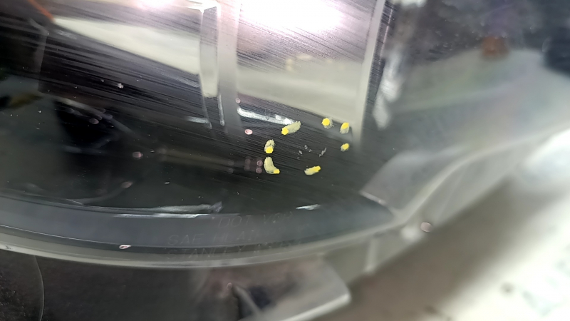 Фара передняя правая Mazda CX-5 17-21 LED