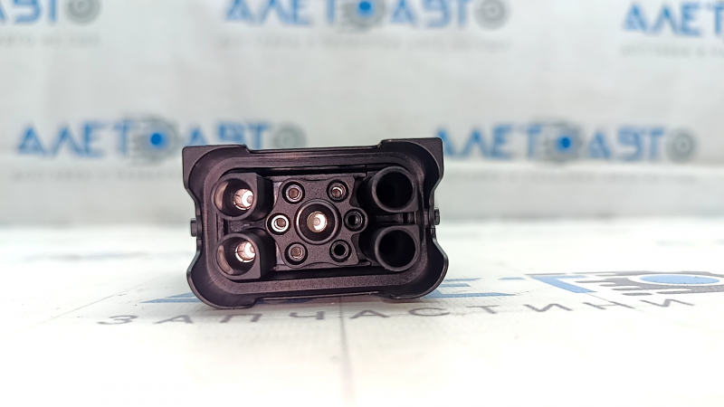 Переходник зарядки от сети Audi E-Tron 19-23 15A/125v