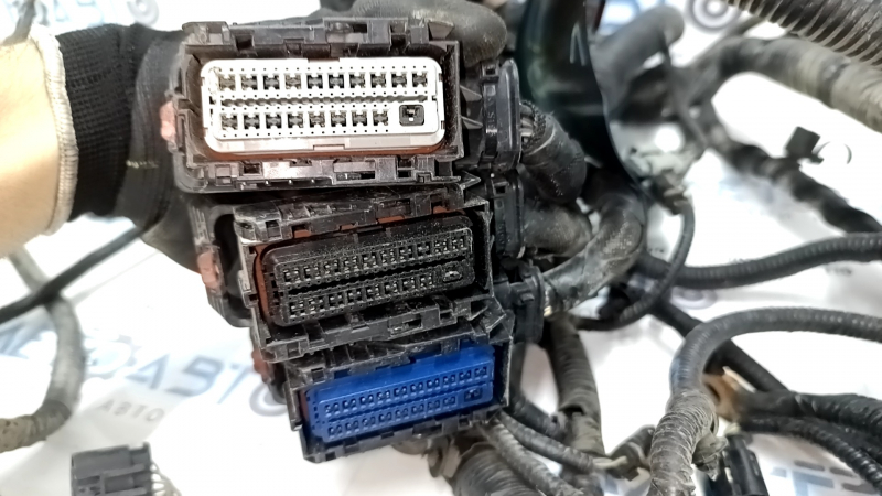 Проводка подкапотная Cadillac ATS 13-14 2.0T