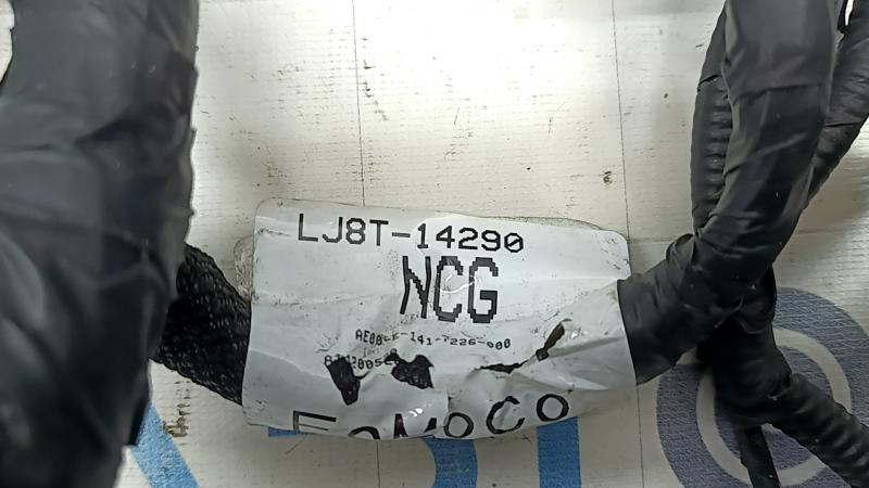 Cablaj compartiment motor Ford Mustang Mach-E 21-26