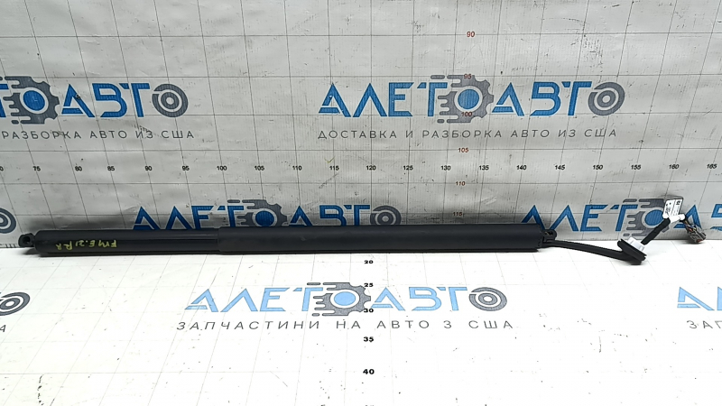 Амортизатор двери багажника правый Ford Mustang Mach-E 21-26, общий вид детали.