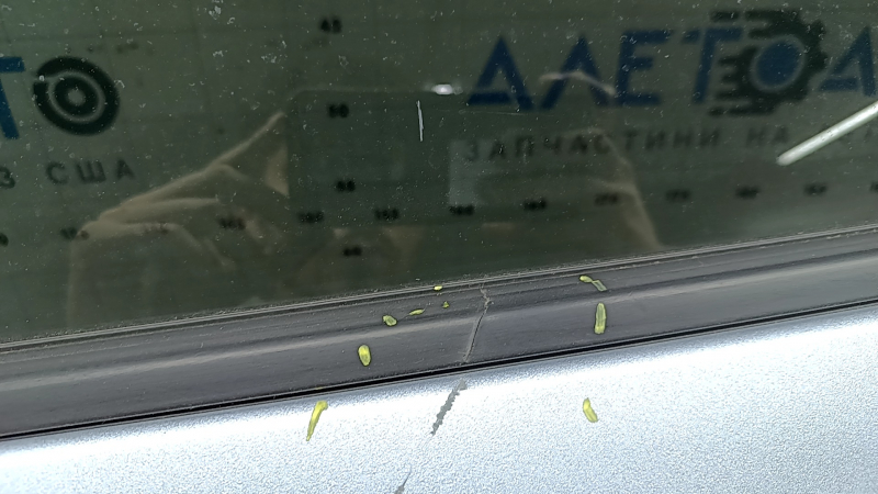 Ansamblu ușă spate stânga Ford Escape MK4 20-26 albastru GP, garnitură cromată superioară, zgârietură, zgârietură pe garnitură