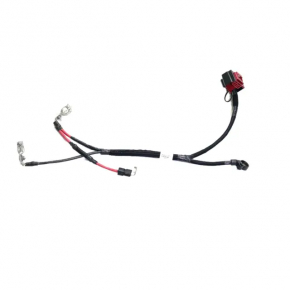 Bornele bateriei asamblate Chrysler 200 11-14