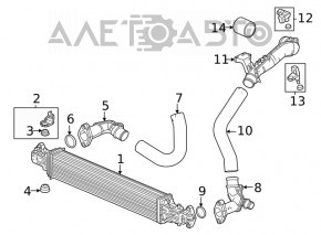 Патрубок интеркулера левый второй Honda CRV 23-26 1.5T