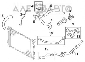 Патрубок охлаждения нижний Hyundai Elantra UD 11-16