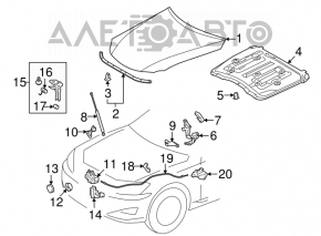 Капот голый Lexus IS250 IS350 06-13 белый 077