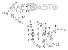 Патрубок охлаждения нижний VW Jetta 19-26 2.0T
