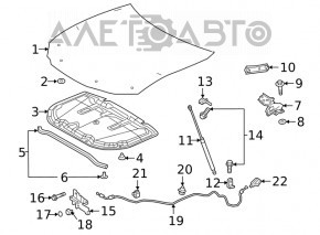Уплотнитель капота Lexus ES250 ES300h ES350 19-26 на капоте
