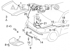 Петля капота левая Toyota Highlander 01-07