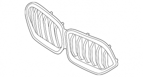 Решетка радиатора grill BMW X6 G06 24-26 Shadowline