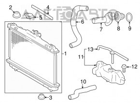 Патрубок охлаждения нижний Toyota Camry v55 15-17 2.5 usa