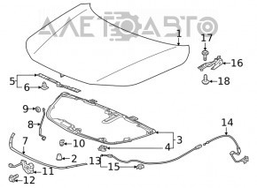 Опора капота Honda Civic XI FE/FL 22-26