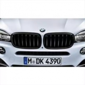 Решетка радиатора grill ноздря правая BMW X5 F15 14-18 черная