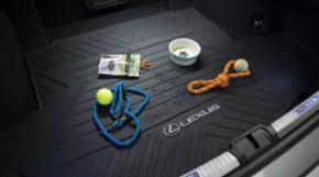Коврик багажника резина Lexus ES 19-26 черный
