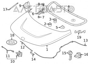 Отбойник капота передний левый Hyundai Santa Fe 24-26