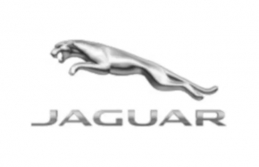 Брызговики задние комплект 2шт Jaguar F-Pace X761 17-20