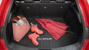 Коврик багажника (ткань) Lexus UX200 UX250h 19-20 черн