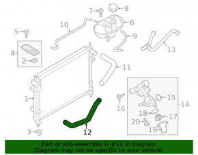 Патрубок охлаждения нижний Ford Mustang mk6 15-17 3.7
