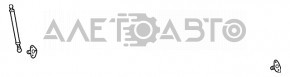 Amortizor portbagaj stânga Lexus RX300 RX330 RX350 RX400h 04-09