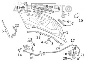 Петля капота правая VW Tiguan 18-24