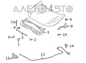 Петля капота левая Nissan Sentra 20-24