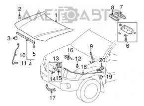 Петля капота правая Lexus RX300 RX330 RX350 RX400h 04-09