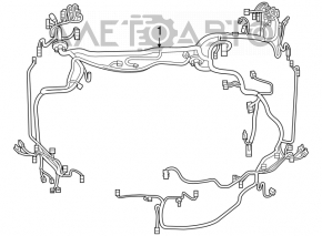 Проводка подкапотная с блоком предохранителей Lexus Hs250h 10-10