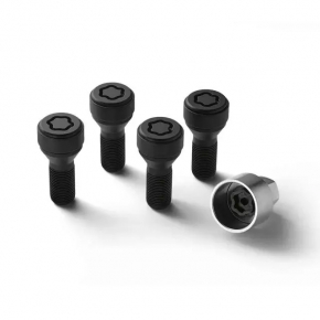 Болт колесный секретка M14x1.25 BMW X5 G05 19-26 комплект