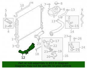 Патрубок охлаждения нижний Ford Mustang mk6 15-23 5.0