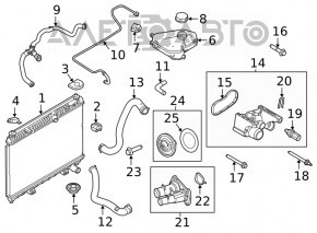 Патрубок охлаждения нижний Ford Fiesta 11-19 1.6