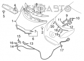 Suport de capot pentru Nissan Leaf 11-17